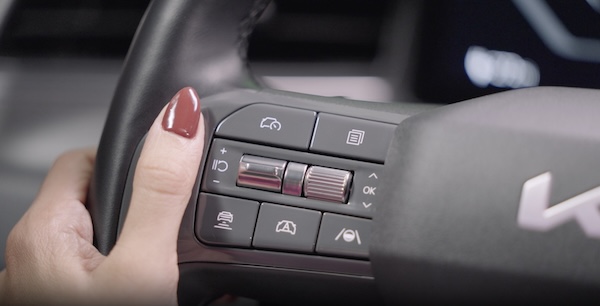 Steering Wheel Controls